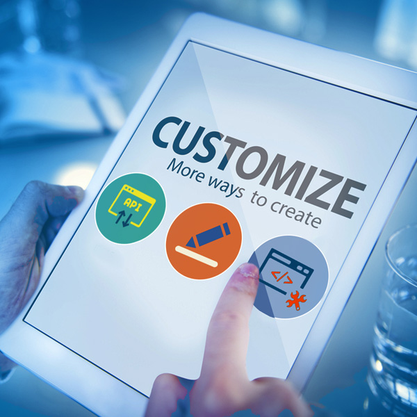 Customozation Support  & Services